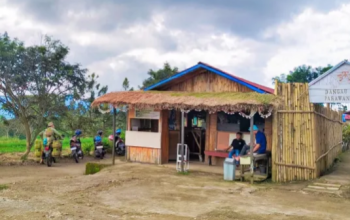 Wisata Kuliner Alam Dekat Bukittinggi, Dangau Pasawangan Tawarkan Senja Indah dan Sapek Panggang Khas Minang