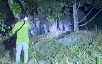 12 Gajah Raksasa Muncul di Muara Fajar Pekanbaru, Warga Cemas