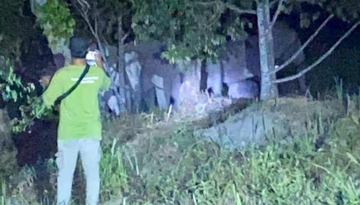 12 Gajah Raksasa Muncul di Muara Fajar Pekanbaru, Warga Cemas