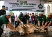 Sambut Idul Adha, Ratusan Juru Sembelih Dibekali Teknik Kurban Sesuai Syariat