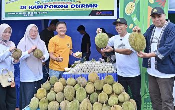 Bengkalis Durian Fest 2026 Resmi Dibuka, 74 Peserta Ramaikan Festival Perdana