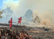 Bareskrim Tetapkan 72 Tersangka Karhutla, Pembakaran Diduga untuk Buka Lahan Sawit