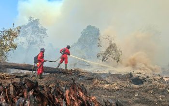 Bareskrim Tetapkan 72 Tersangka Karhutla, Pembakaran Diduga untuk Buka Lahan Sawit