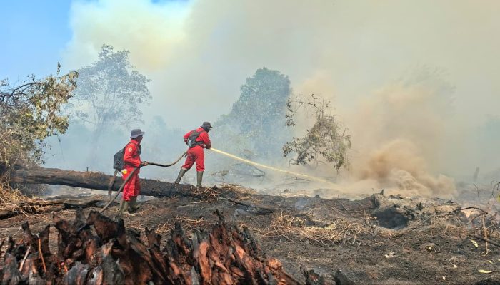 Bareskrim Tetapkan 72 Tersangka Karhutla, Pembakaran Diduga untuk Buka Lahan Sawit