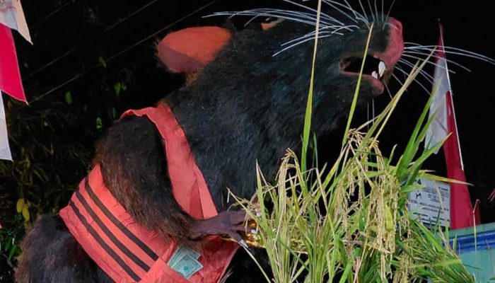 Viral Tikus Berompi Oranye Bawa Emas di Karnaval Karanganyar, Tulisan di Bajunya Bikin Sorotan