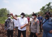 335 Perusahaan di Sumatera dan Kalimantan Diawasi, Menteri LH Ingatkan Karhutla di Area Konsesi