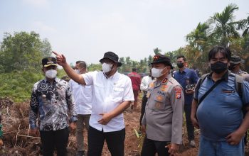 335 Perusahaan di Sumatera dan Kalimantan Diawasi, Menteri LH Ingatkan Karhutla di Area Konsesi