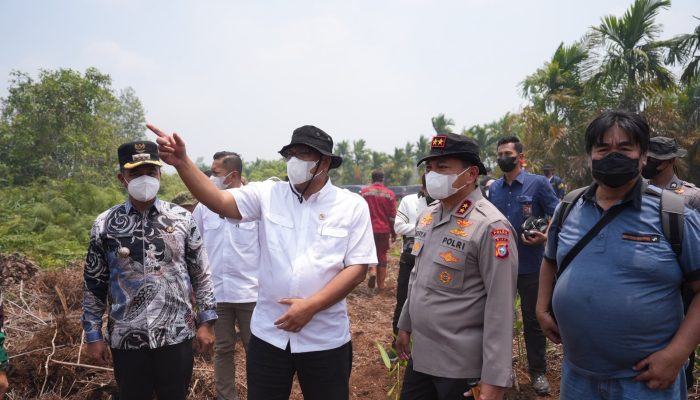 335 Perusahaan di Sumatera dan Kalimantan Diawasi, Menteri LH Ingatkan Karhutla di Area Konsesi