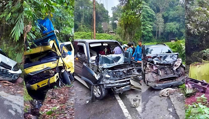 Rem Blong Picu Kecelakaan Beruntun Lima Kendaraan di Pasaman, Truk Masuk Jurang, Dua Orang Terluka