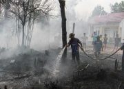 Kabut Asap Pekat Selimuti Kalimantan, Jarak Pandang 3 Meter hingga Jam Masuk Sekolah Diundur