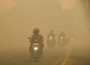 Sudah 27.250 Masyarakat Riau Terpapar ISPA